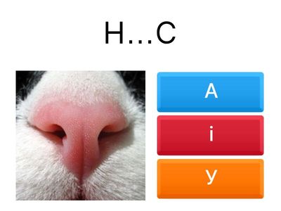 Копія Встав букву