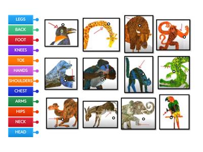 FROM HEAD TO TOE Body Parts