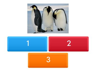 How many animals can you see?