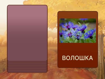 Диференціація [Л]-[В] у словах