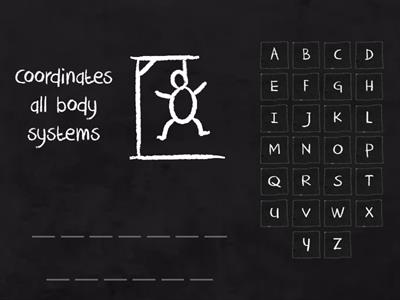 Functions of Human Body Systems (Hangman)
