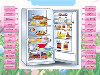 Food in the fridge