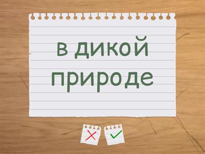 Articles/workbook/Part 3/ Flash cards