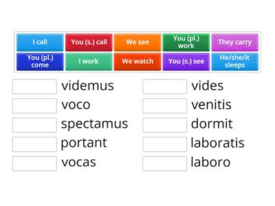 Chapt 4 verbs - all persons