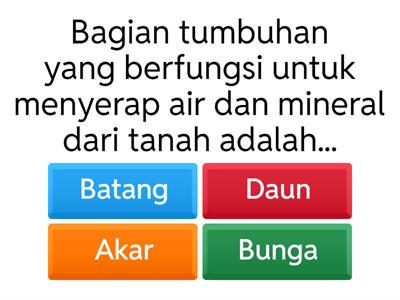 Struktur dan Fungsi Tumbuhan