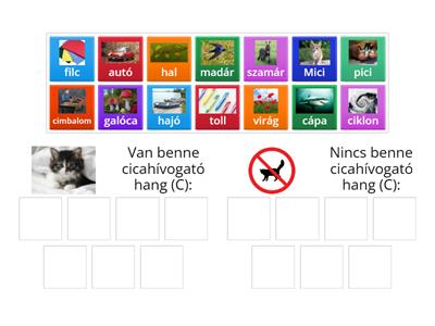 C hang auditív észlelése 