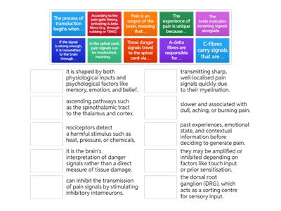 Match up - pain processing