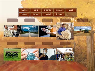 Ox Cart Man Vocabular 3-6