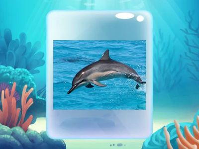 New voc Under the sea matching SM3 Unit 5