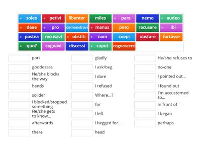 S4 Latin checklist 18