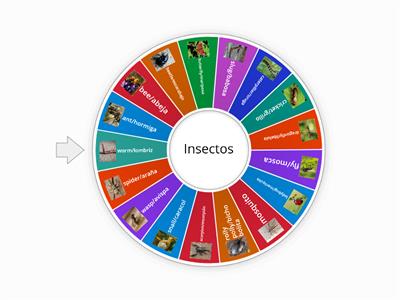 Insects/insectos