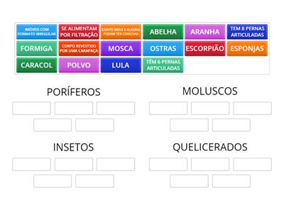 CLASSIFICAÇÃO DOS INVERTEBRADOS