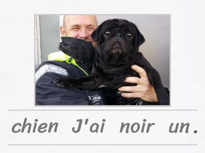 Français: animaux + avoir 