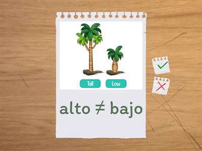 Adjetivos - Antónimos