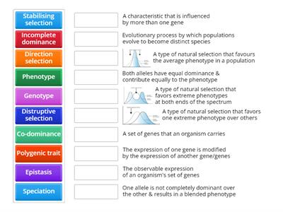 Advanced Genetic Inheritance Key Words 