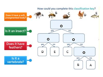 Labelling a Classification Key
