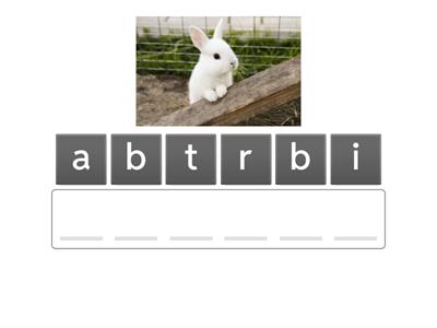 Rabbbit Rule 