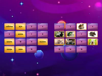 Разминка. Скорочтение