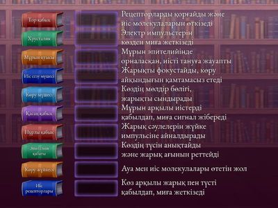 Қалақай бар қыздар порно видео