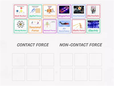 Types of Forces_Libman 2024
