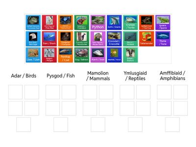 Bilingual Animal classification game