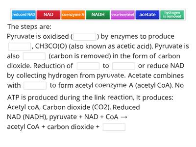 CAX KS5 step by step the link reaction 