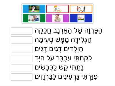 התאם משפט לתמונה חיריק