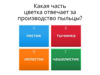 Строение цветка