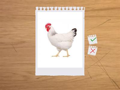 Тренажёр по чтению ( урок 1-2)