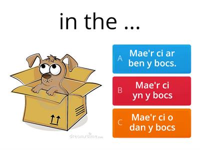 Prepositions ARDDODIAD Ble mae'r gath? 