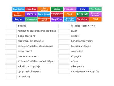 Vocabulary Revision - Practical English (Police)