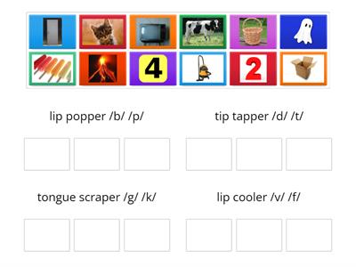 LiPS Beginning Sound Sort # 1