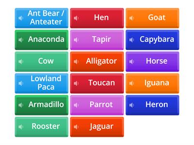 Llanero Wildlife