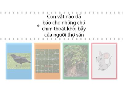 Tìm đáp án đúng