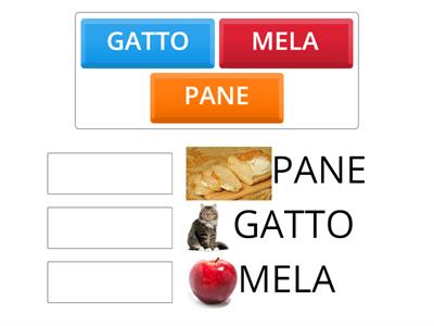 Copia di Appaiamento parole