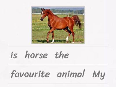 What's your favourite animal?