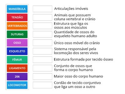 SISTEMA LOCOMOTOR