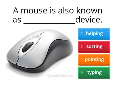  Computer Mouse