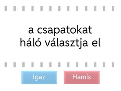 Röplabda szabályok