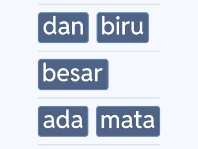 WACL3 Describing faces - unjumble the sentences