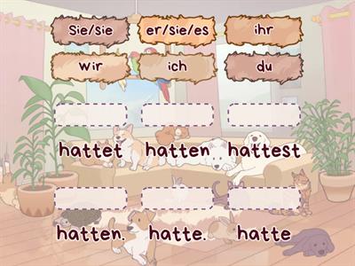 Hatte