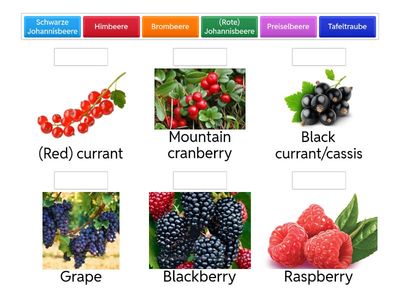 Beerenobst/Berries Deutsch /Englisch