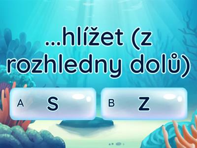 Předpony s/z