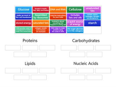Biomolecules