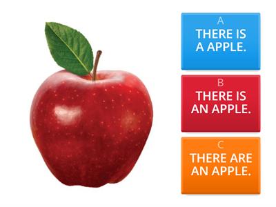 A / an  - Some - Any - A lot of