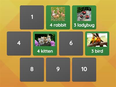 Matching numbers of animal