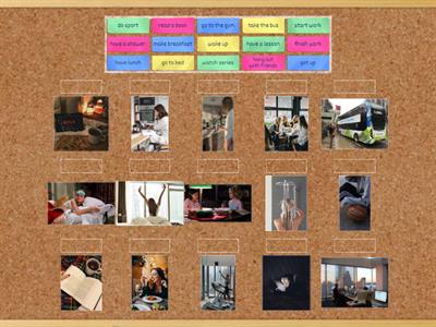 Outcomes. A1.Daily routine.