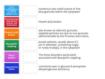 RBC inclusions