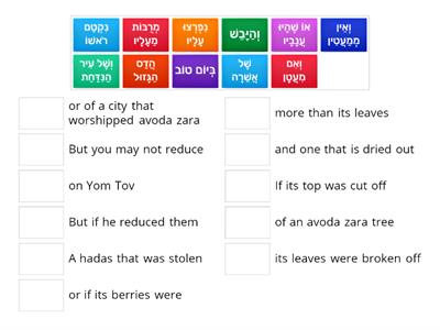 Mishnayos Sukkah - Perek 3 - Mishna 2