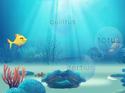 Latin Ordinal Number Swimming Obstacle Race